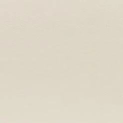 Four Hands FURNITURE Shagreen Desk