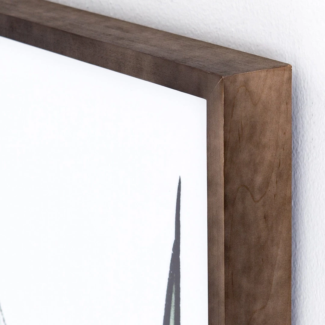 Four Hands Botanicals By Jess Engle LIGHTING & DECOR