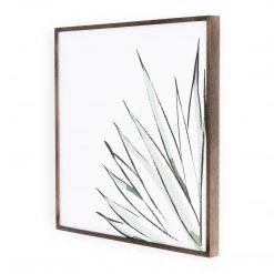 Four Hands Botanicals By Jess Engle LIGHTING & DECOR