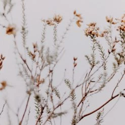 Four Hands In The Details By Annie Spratt