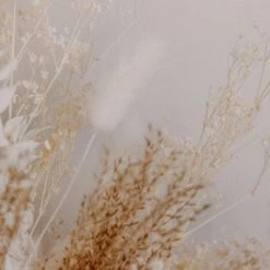 Four Hands Dried Floral II By Annie Spratt