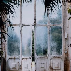 Four Hands Art Greenhouse II By Annie Spratt