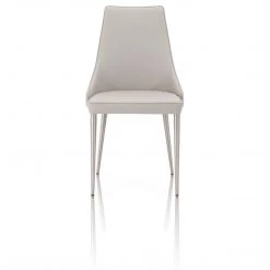 Essentials For Living Ivy Dining Chair - Set Of 2