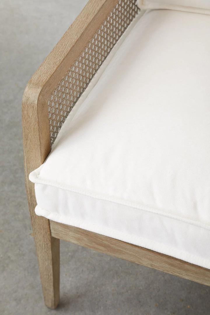 Essentials For Living FURNITURE Leone Club Chair